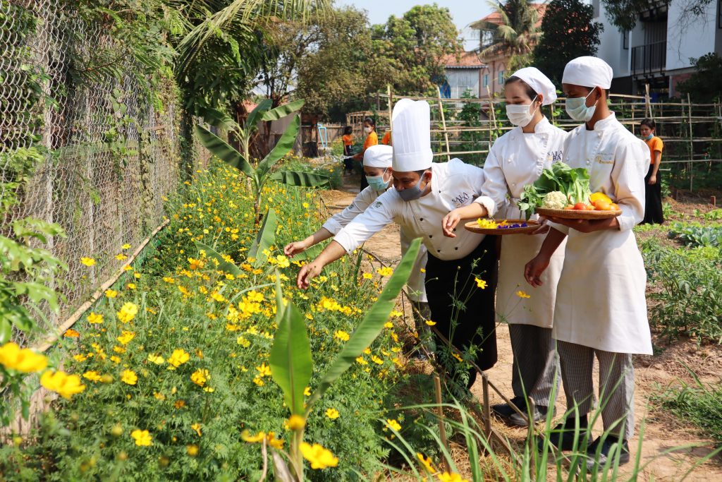 La récolte des fleurs et de certains légumes a pu débuté en février